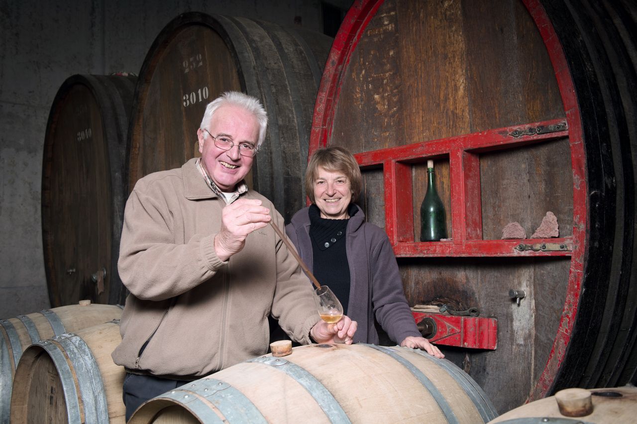 Vins Vigneron Luc et Sylvie BOILLEY – FREMIOT BoilleyFremiot-0003